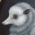 The Possum Mother