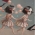 The Carnival - Detail 2.
